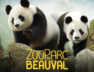 Le zoo de Beauval