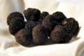 5-truffes_noires_berry